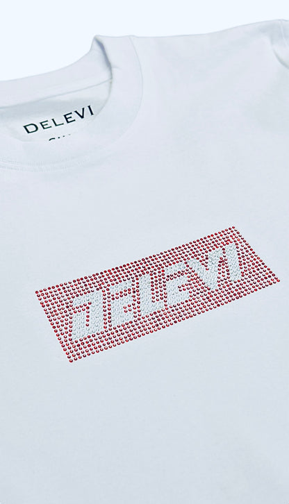Delevi box logo T-shirt